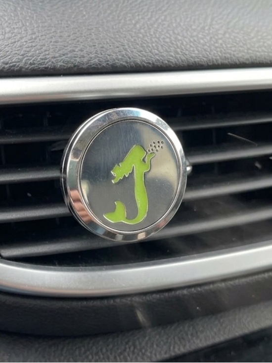 Queen Bee Boutique Other - 🆕 Mermaid Car Vent Clip Magnetic Air Freshener Diffuser